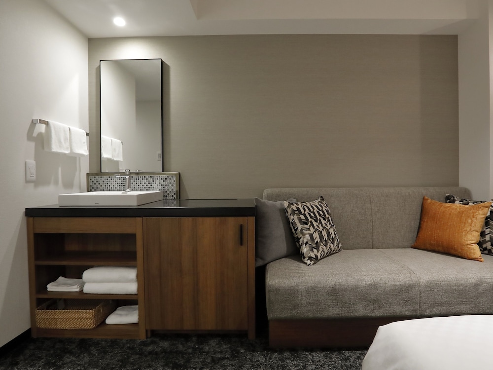 HOTEL FORZA HAKATAEKI CHIKUSHI-GUCHI II 33/49