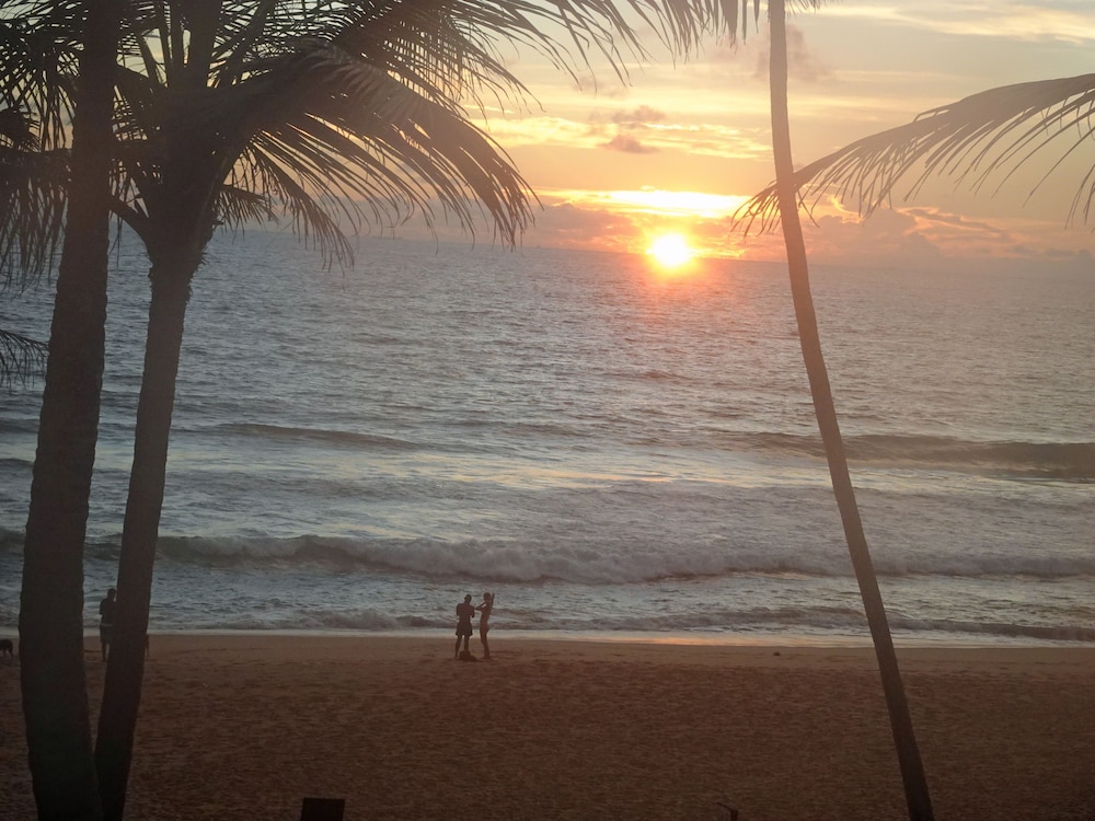 Suite Lanka 48/50
