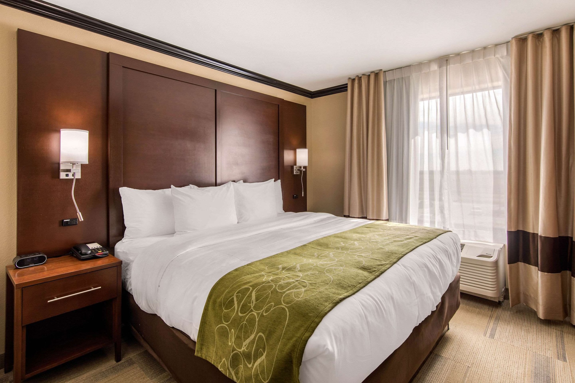 Suite, Single, King Bed, Sofa