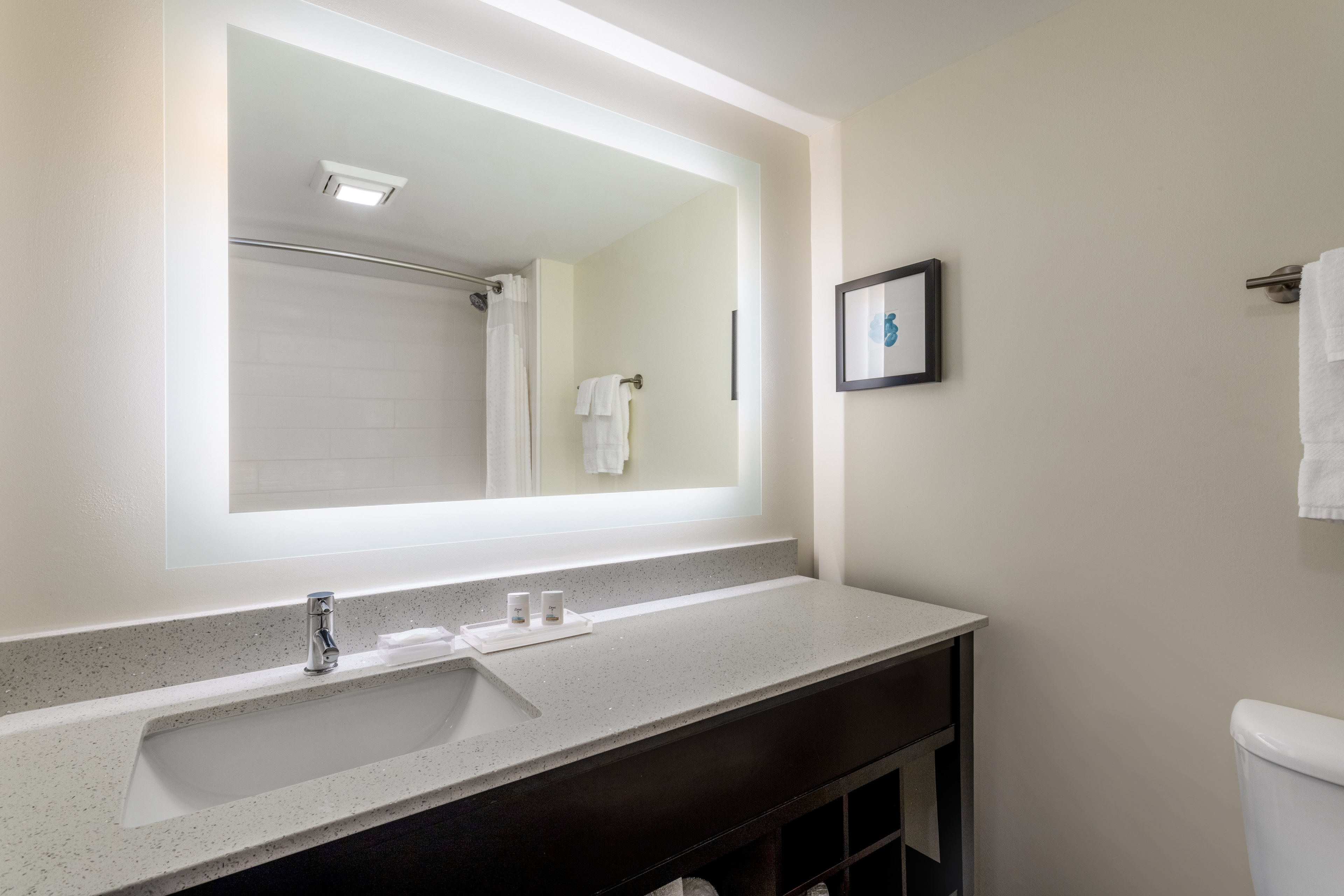 Holiday Inn Tampa North 38/41