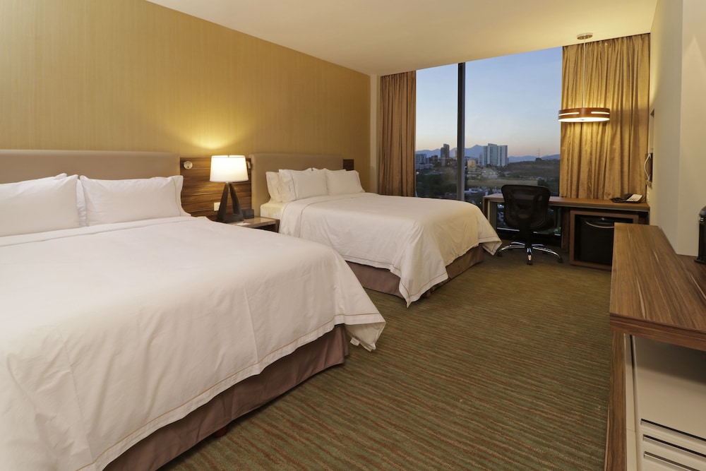 Holiday Inn Express Suites Monterrey Valle 17/74