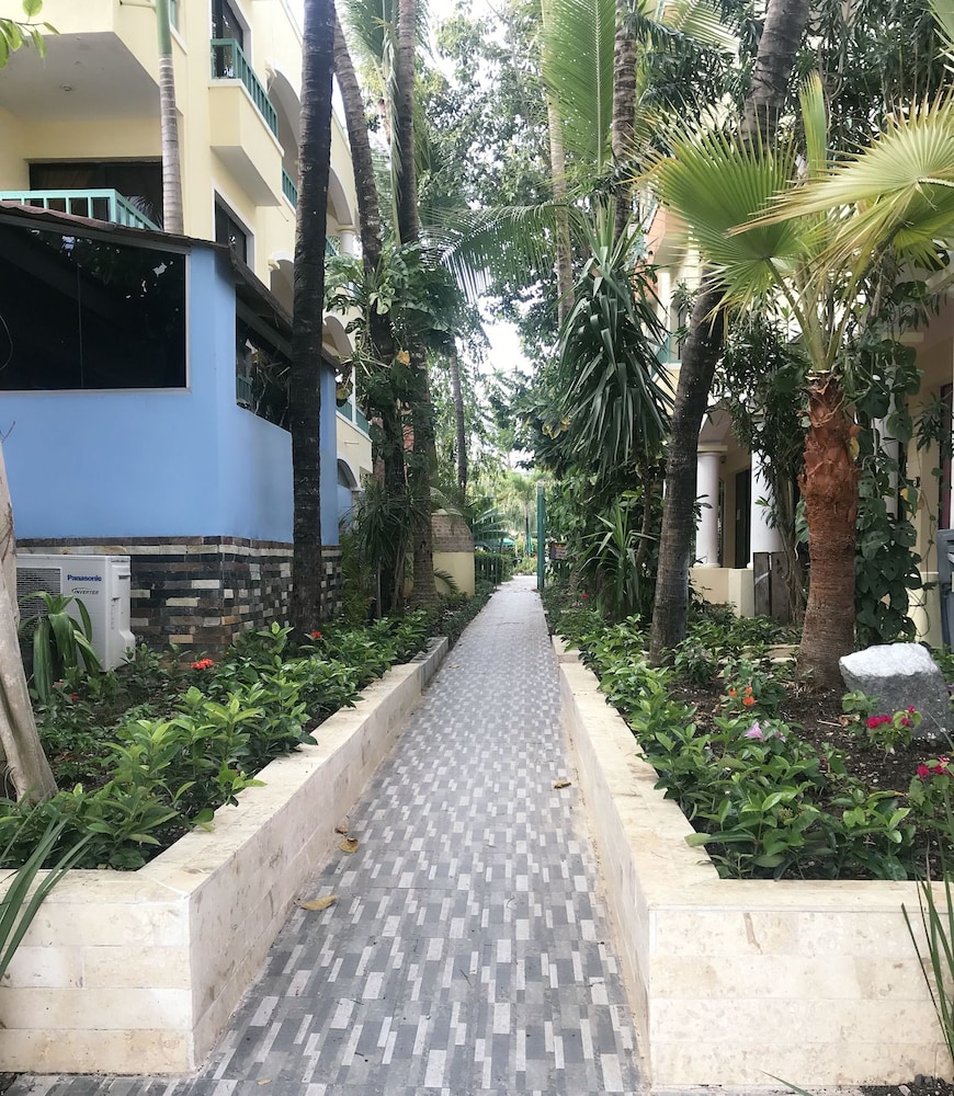 Plaza Real Resort 40/50