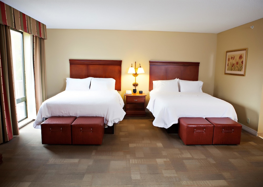 Hampton Inn Martin 20/43