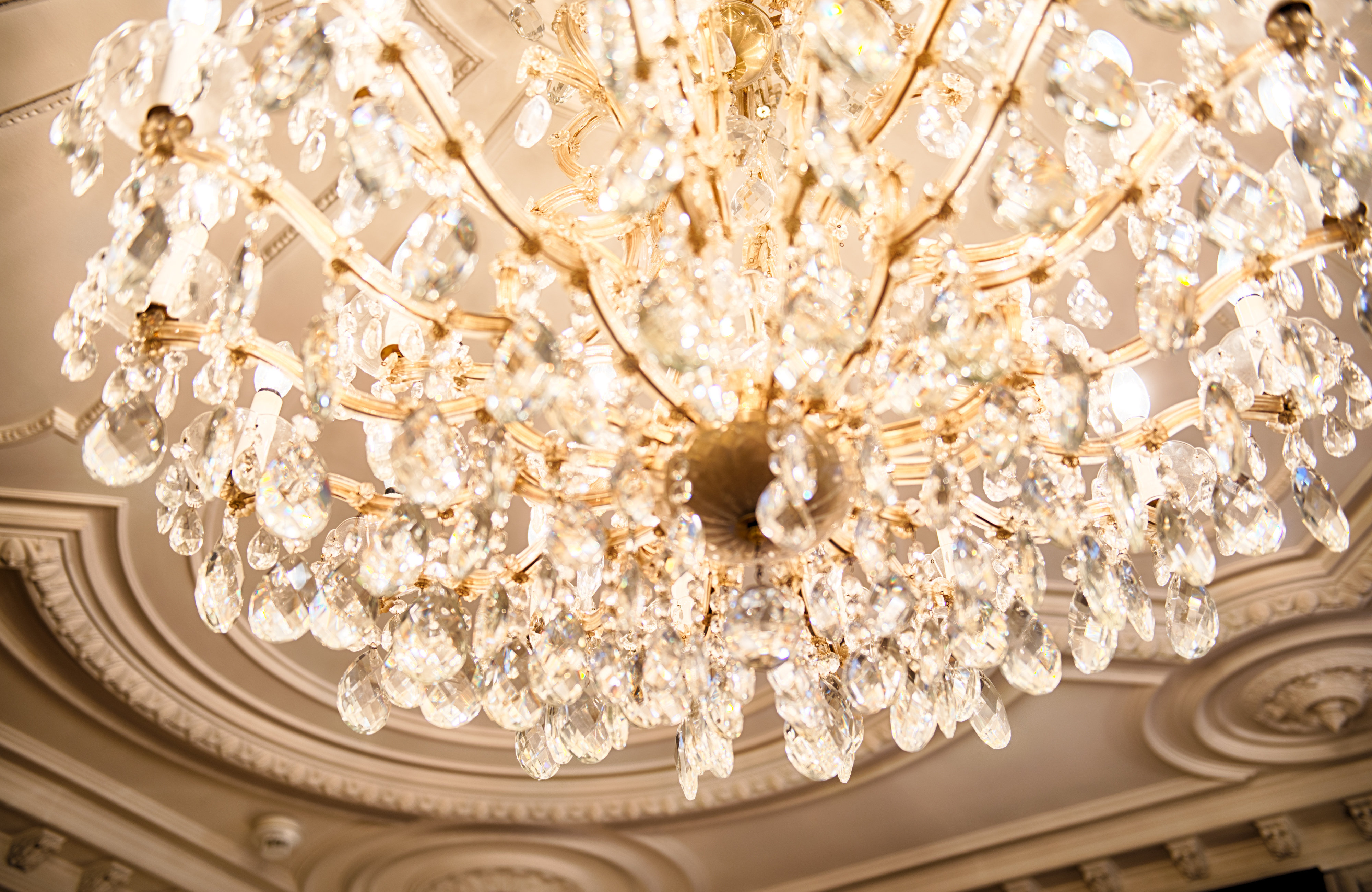 Hotel Alden Splugenschloss Zurich - Leonardo Limited Edition 17/36