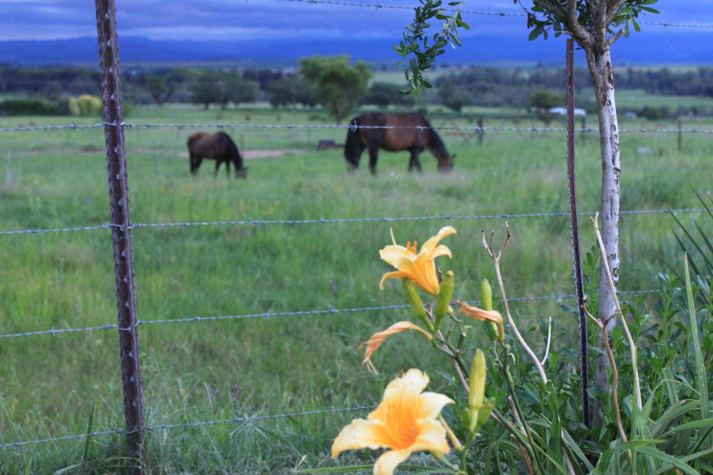 Drakensview Self Catering 46/50