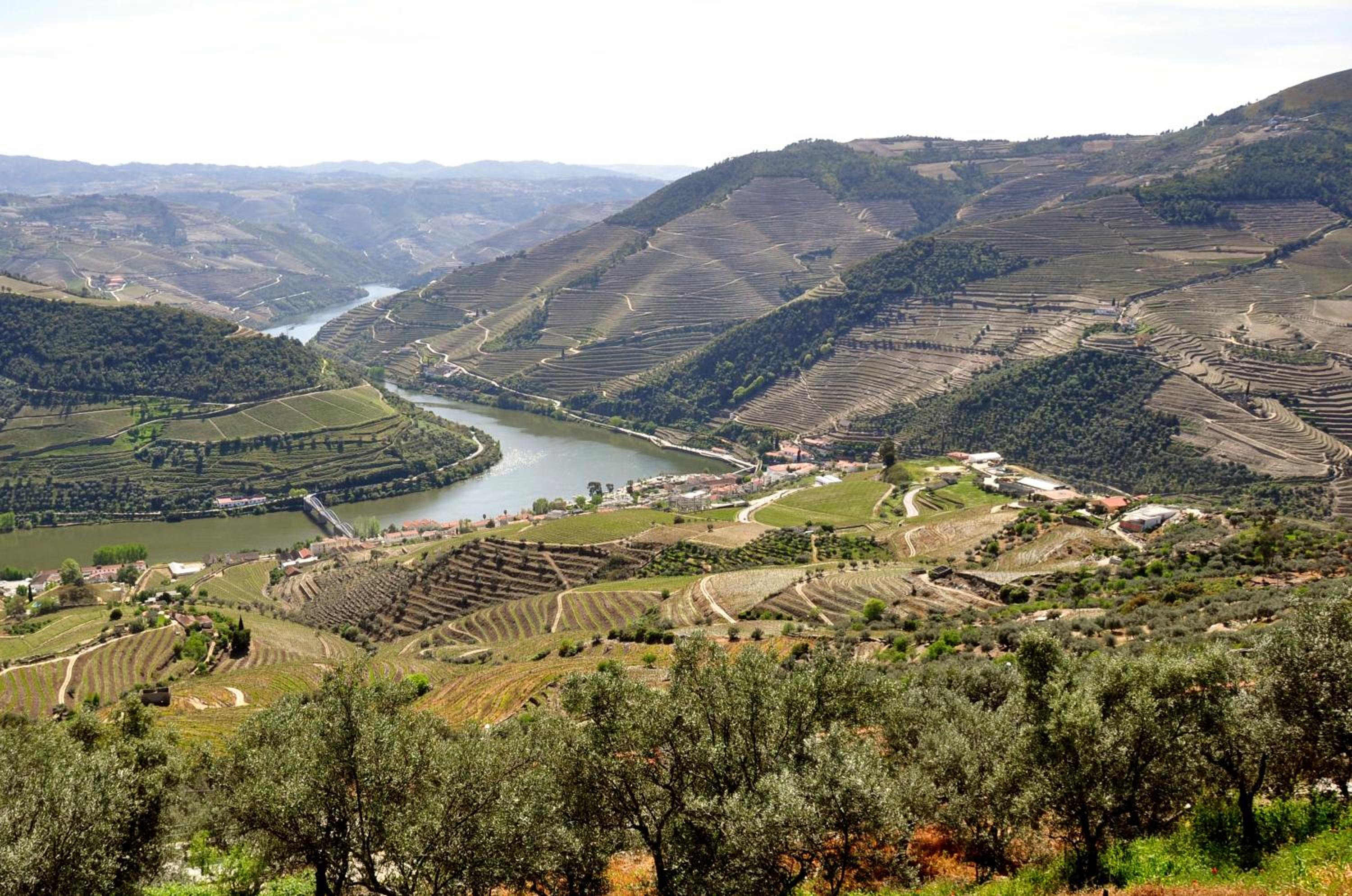 Hotel Ribadouro 42/50