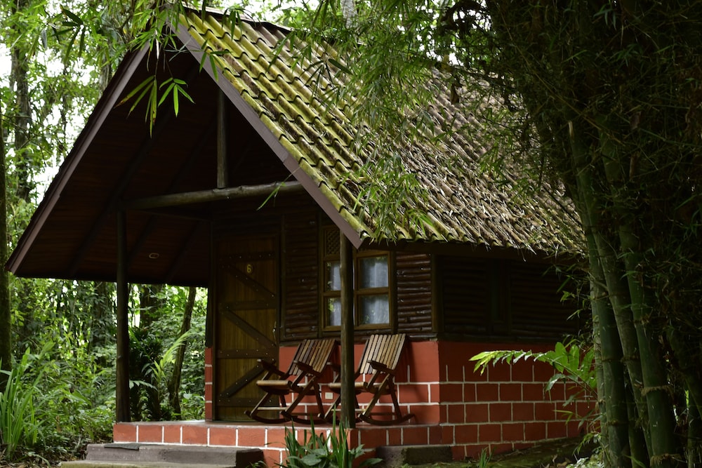 Arenal Oasis 3/50