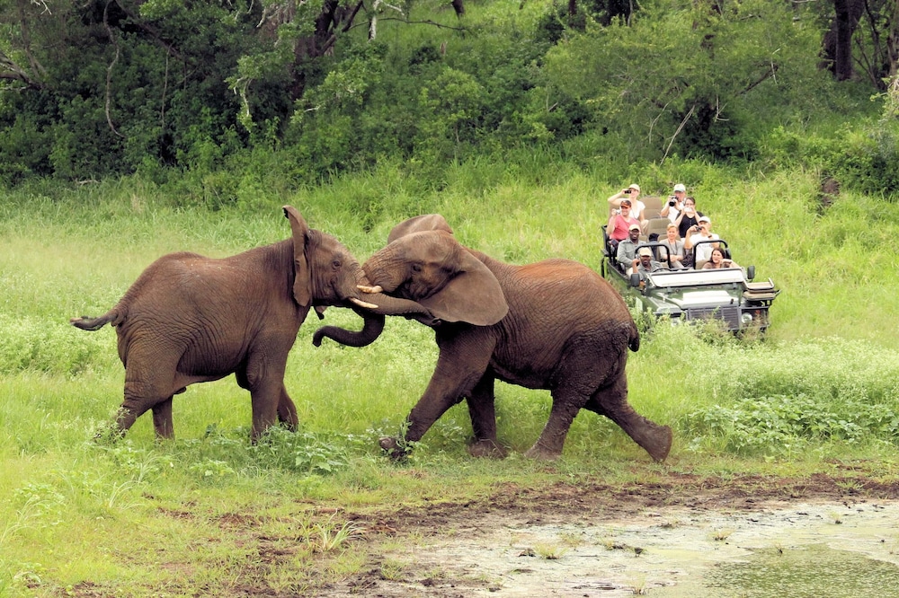 Jumeirah Thanda Safari 47/50