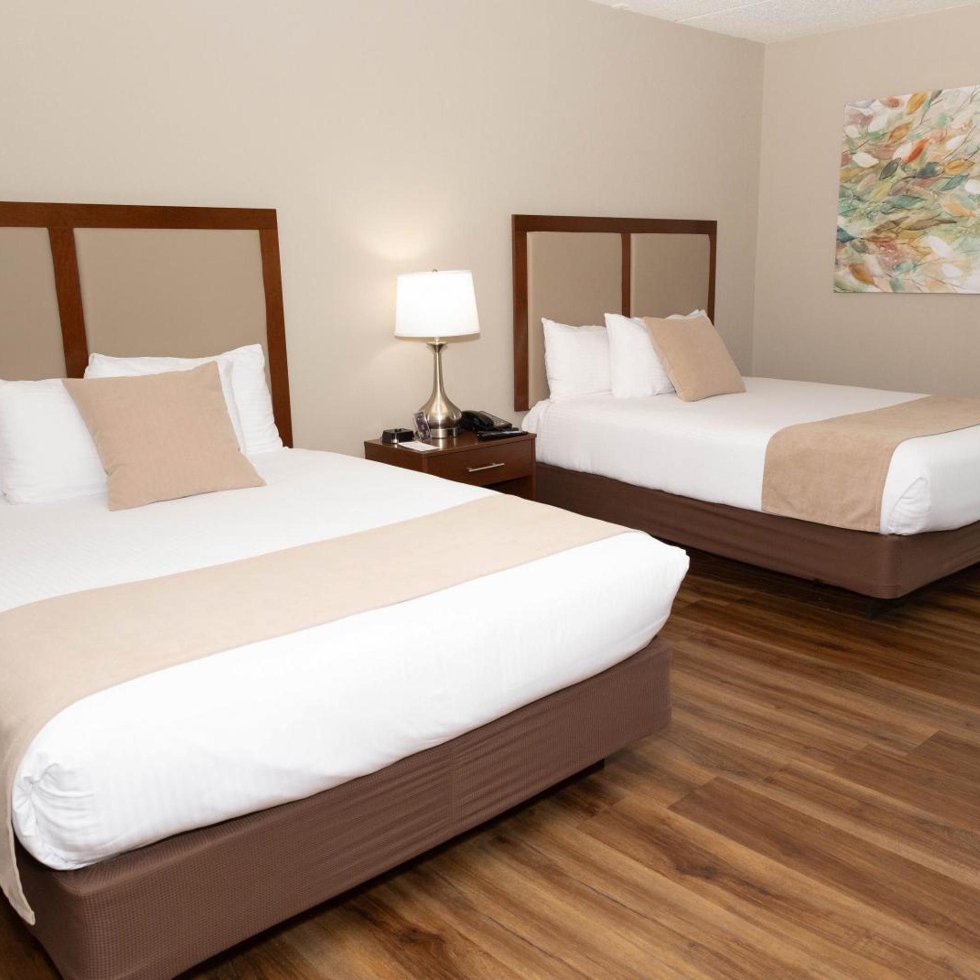غرفة بسريرين كوين، D. Hotel and Suites 2/7