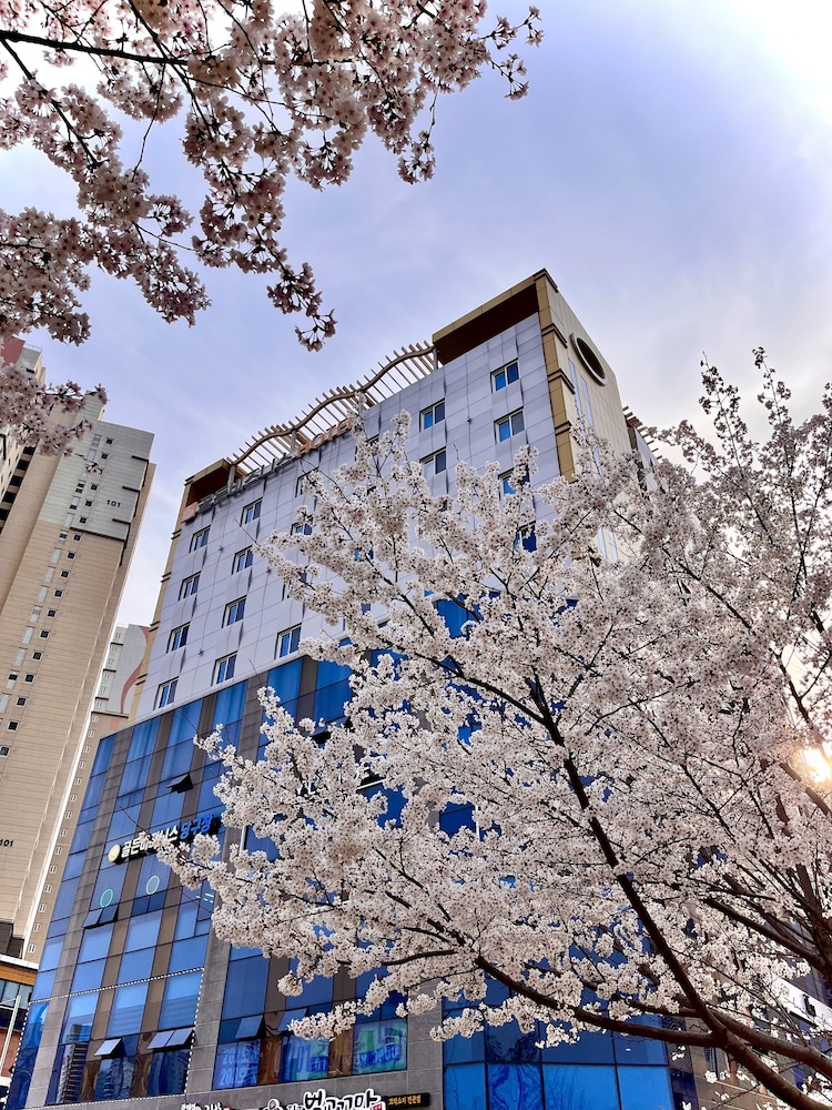 Golden Business Hotel 5/65