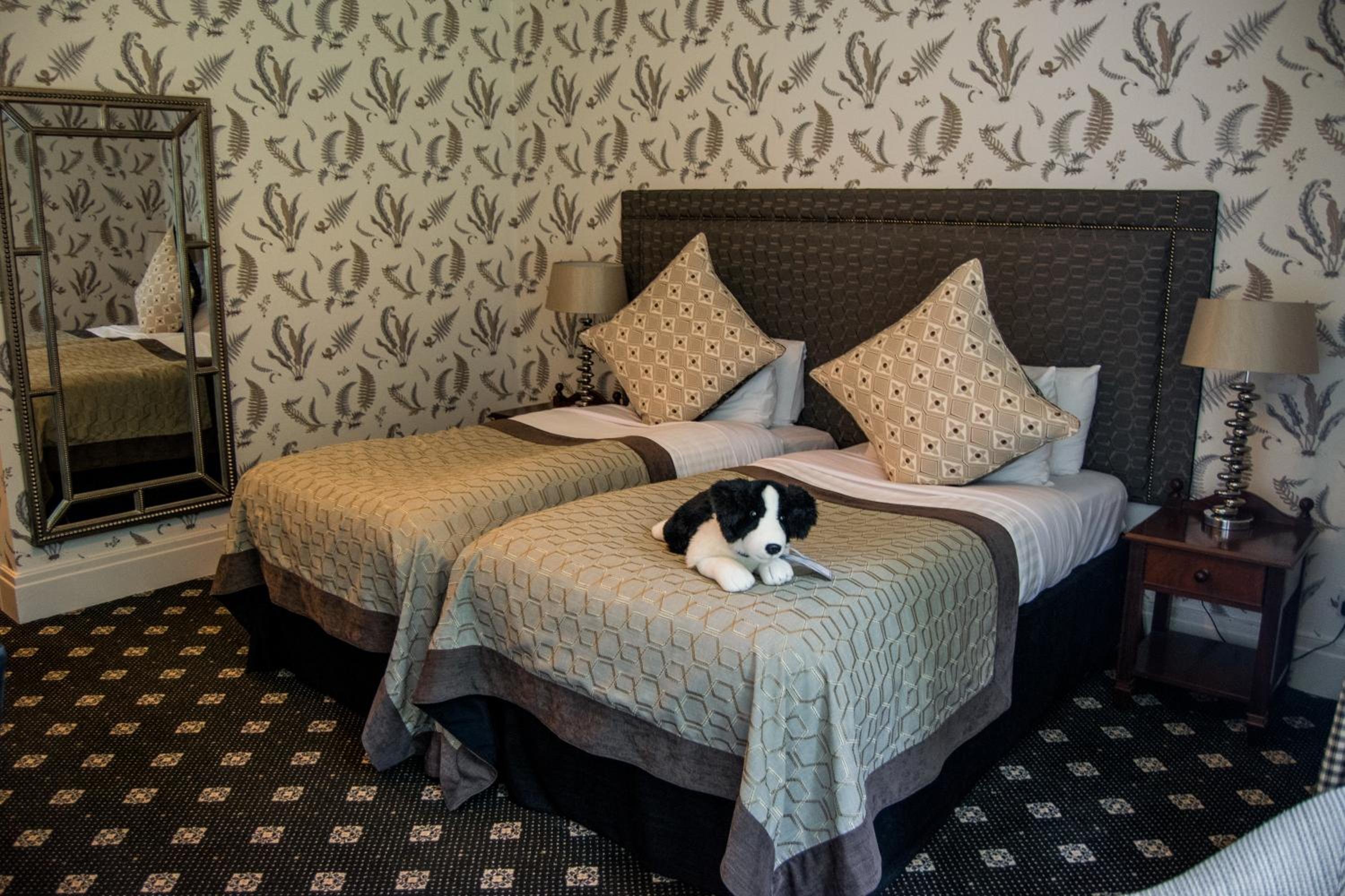 غرفة قياسية بسريرين منفصلين، The Coed y Mwstwr Hotel 2/2