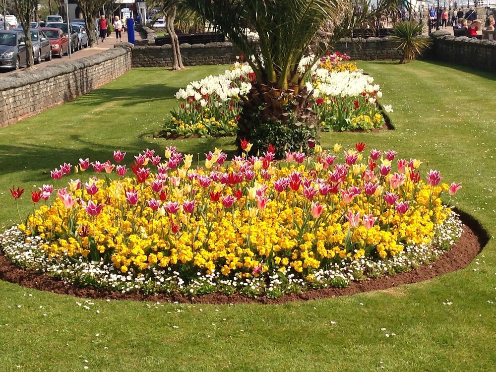 Lindum Lodge - Guest House 38/50