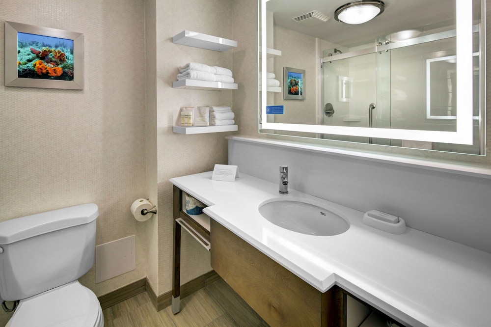Hampton Inn Ft. Lauderdale-West/Pembroke Pines 24/43