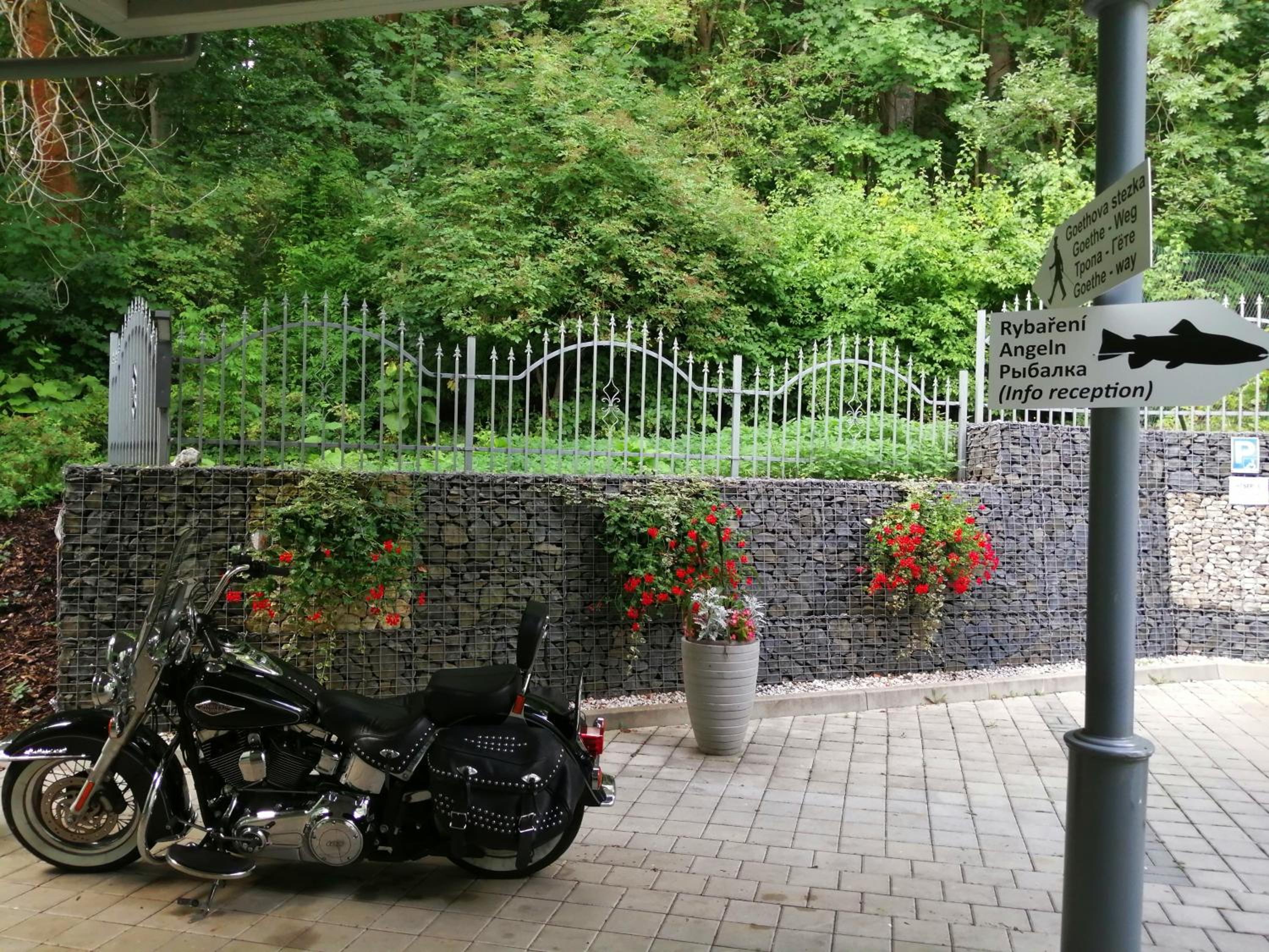 Parkhotel Forest 48/60