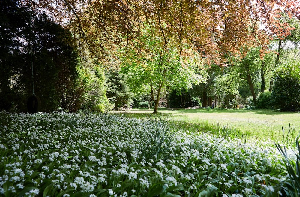 Afon Rhaiadr Country House 39/50