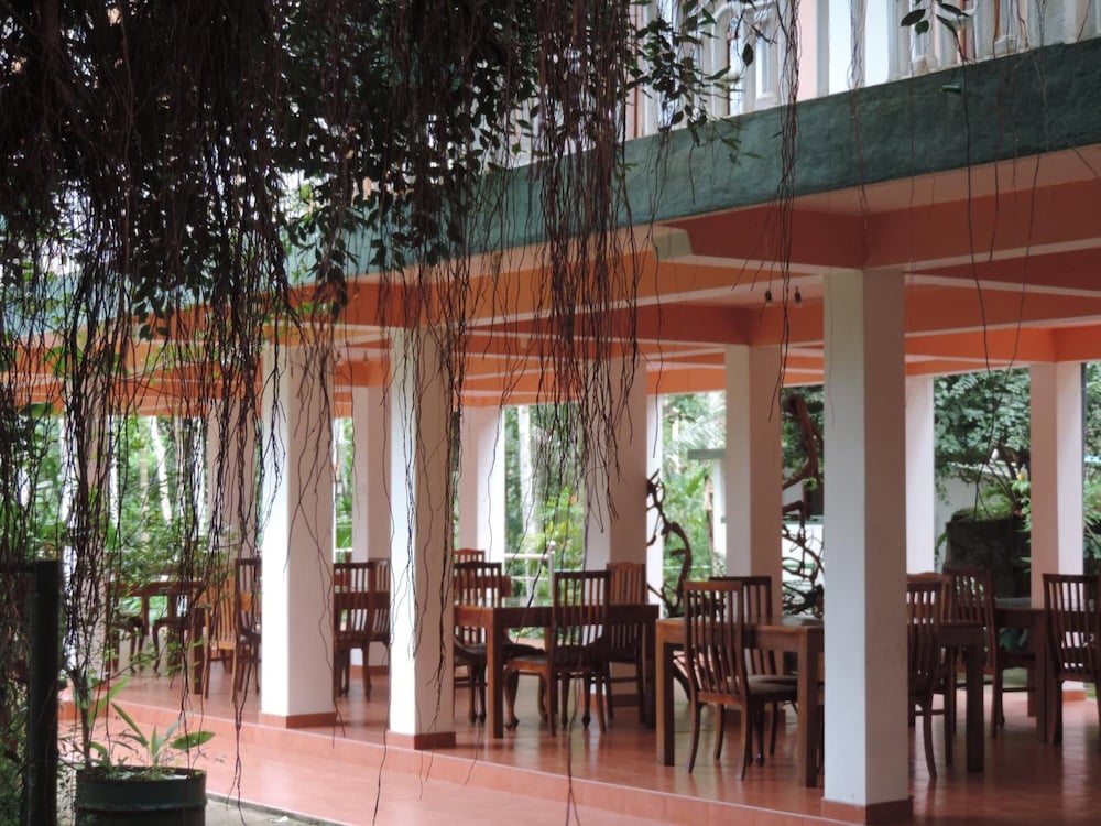 Rainforest Lodge 37/50