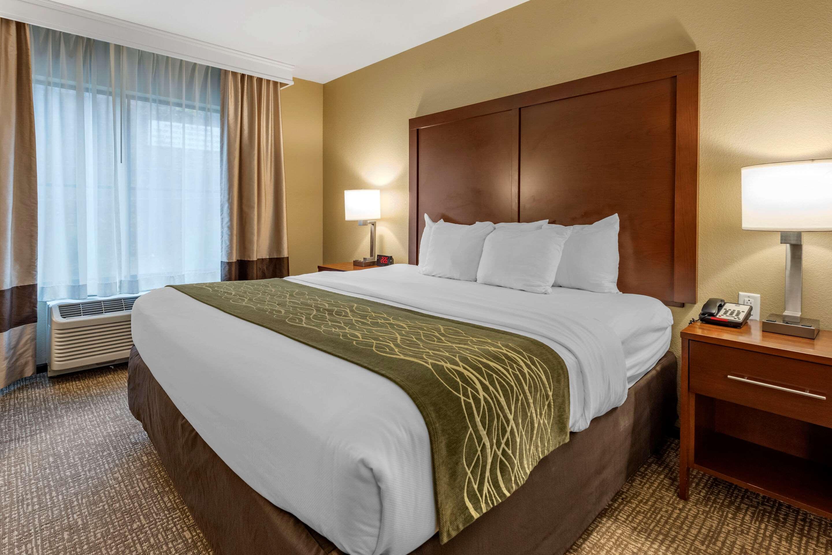 SUITE, KING BED