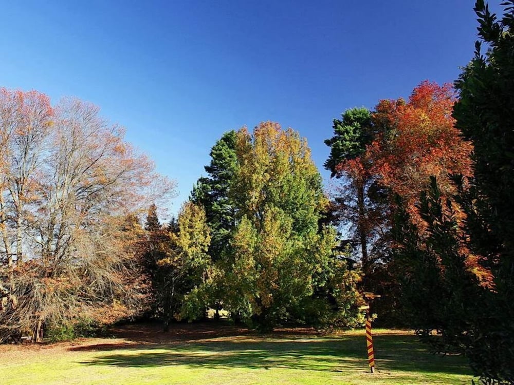 Sycamore Avenue Treehouses 34/50