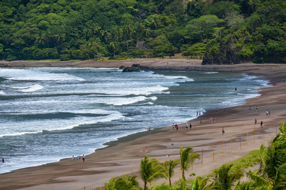 Best In Jaco Diamante Del Sol 38/50