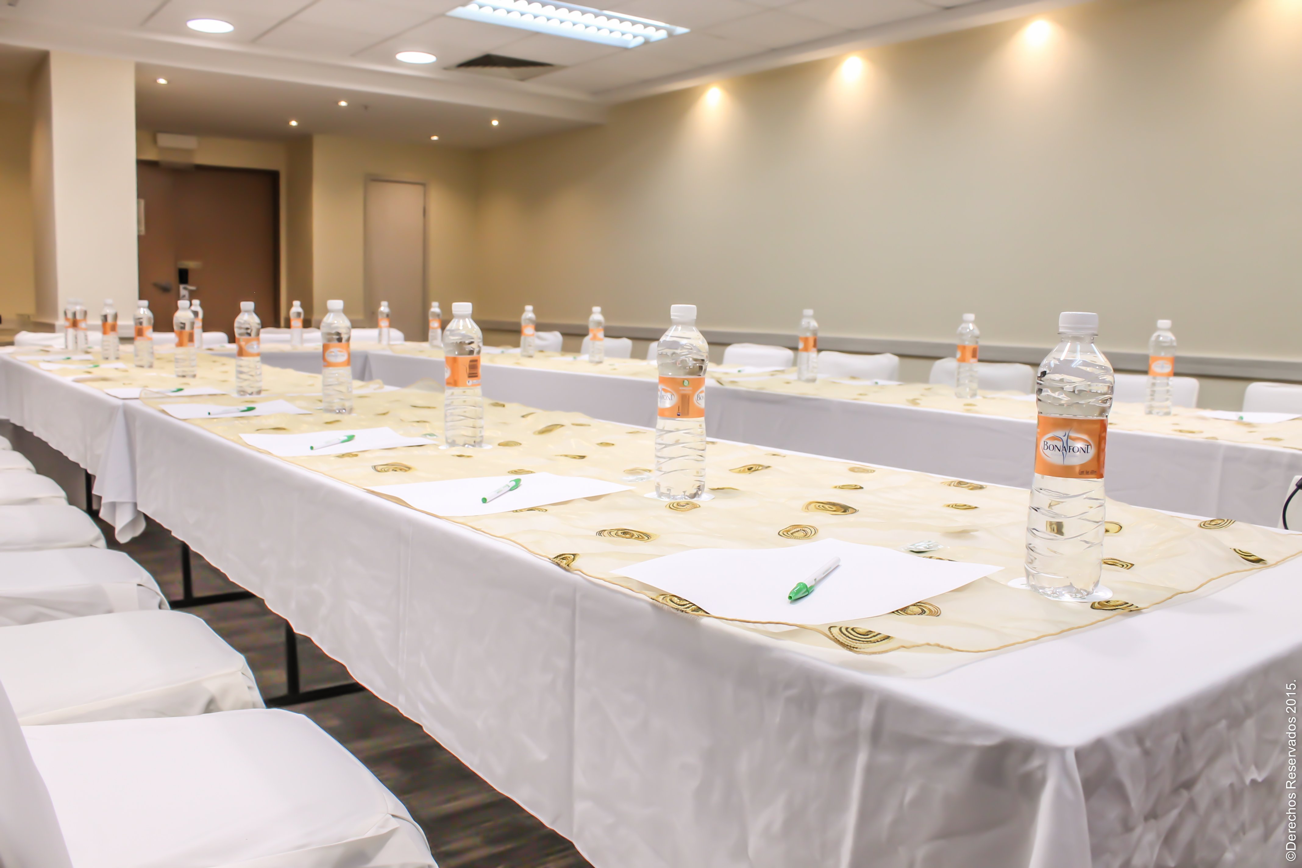 Holiday Inn Leon-Convention Center, an IHG Hotel 45/50