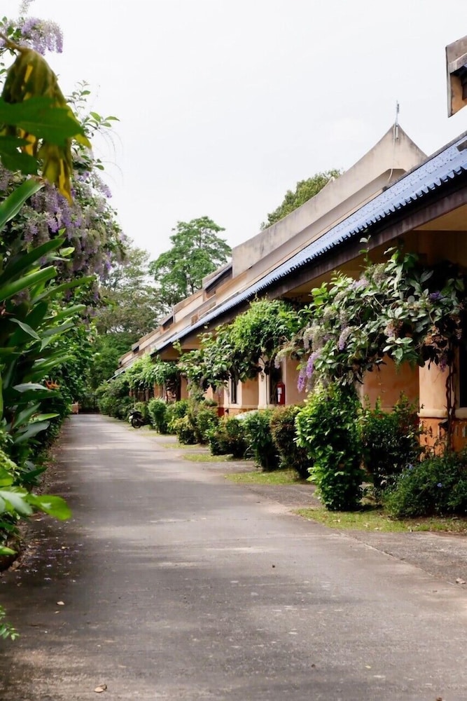 Palm Chalet Resort 2/50