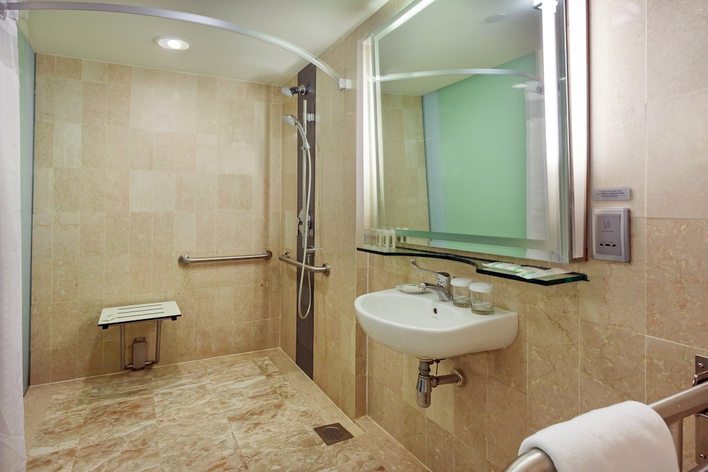 Holiday Inn Singapore Orchard City Centre 20/73