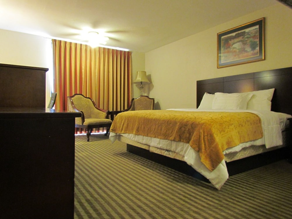 ROMANA HOTEL 6/25