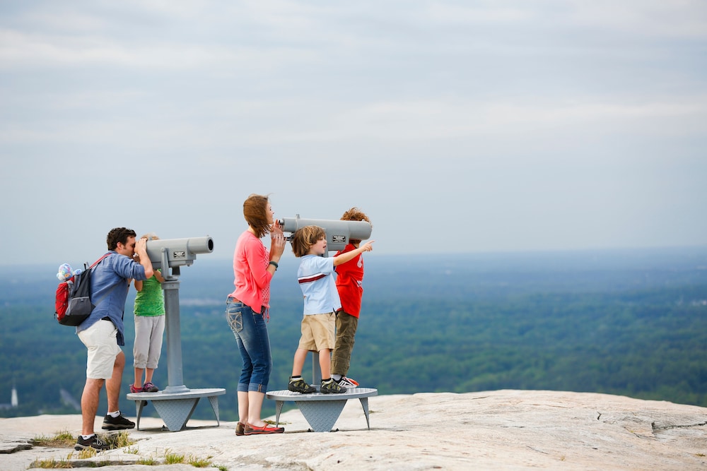 Stone Mountain Inn 29/46