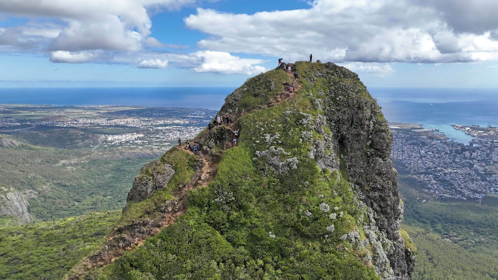 C Mauritius Palmar 38/50