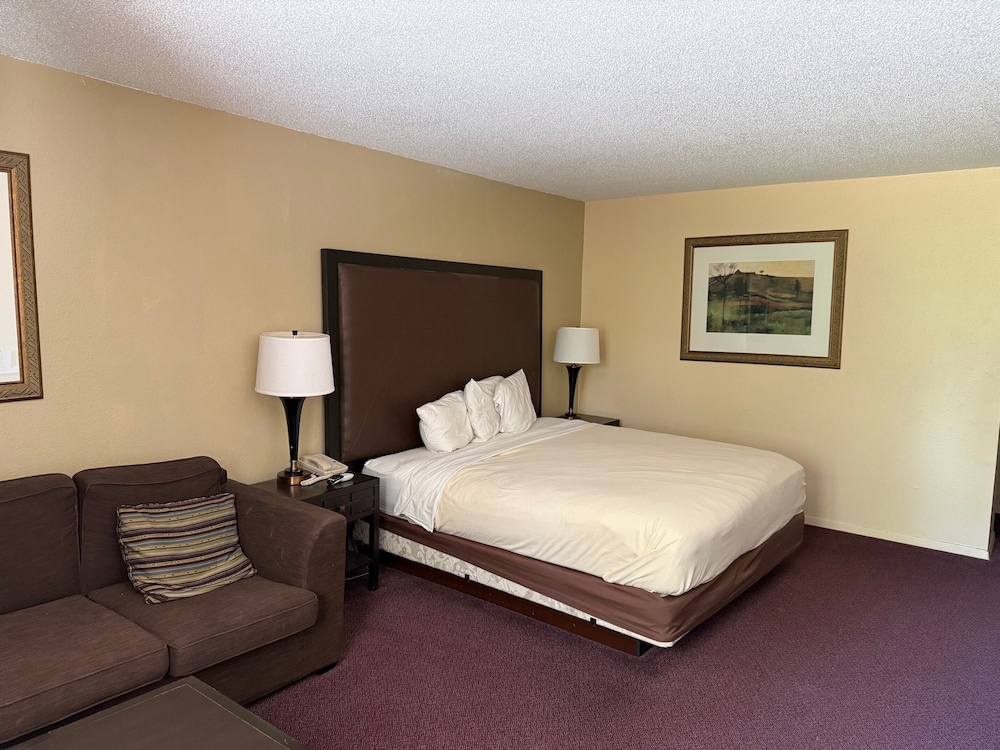 Americas Best Value Inn Webster City 28/53