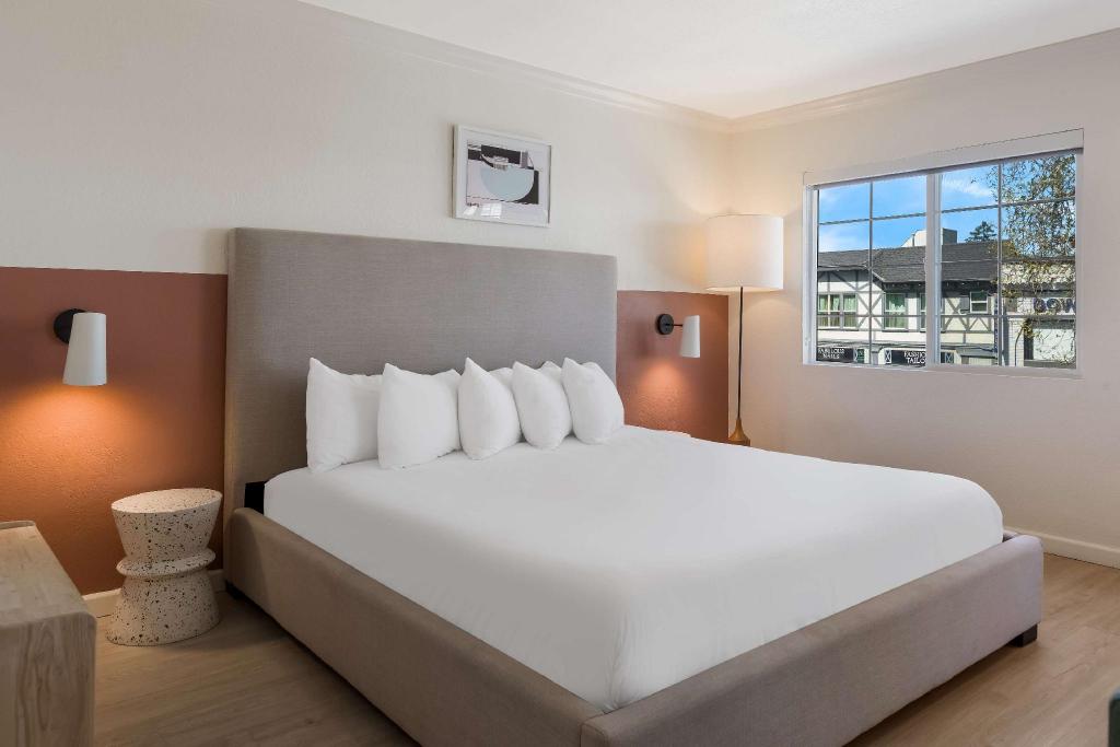 Suite, King Bed