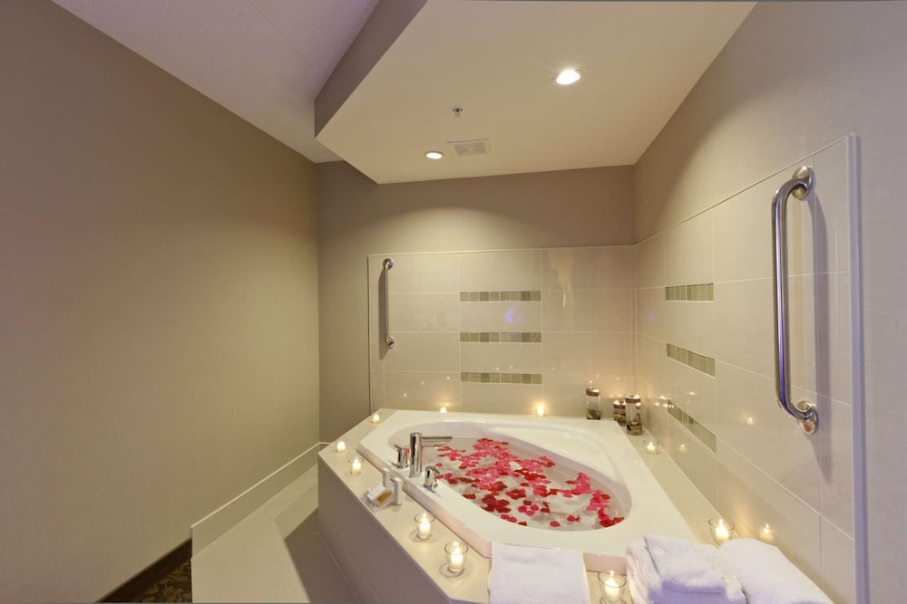 Hilton Garden Inn Brampton 24/55
