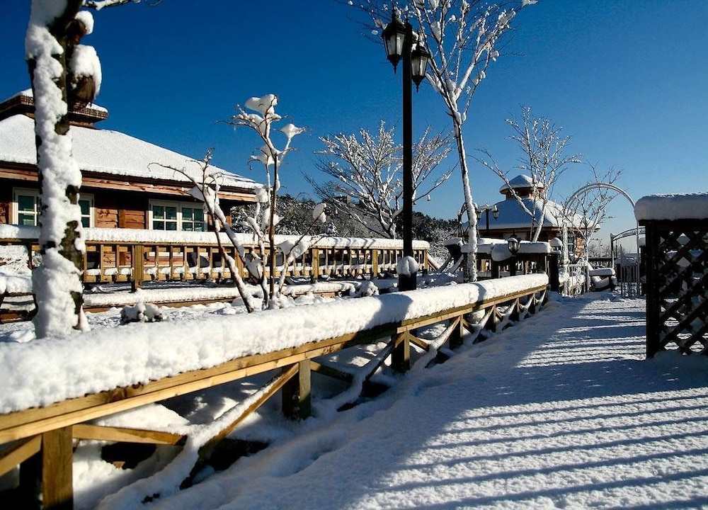 Spa Pension Basso 39/50