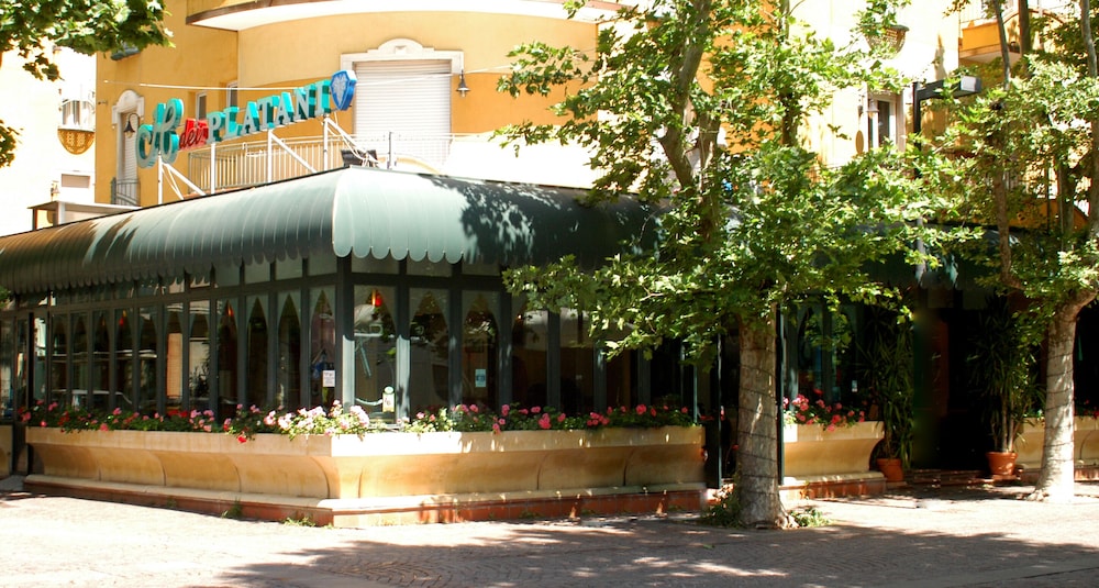 Hotel Dei Platani 2/42