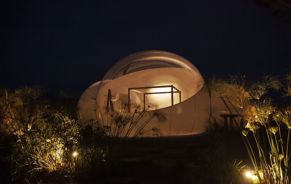 Green Land Bubble Glamping 4/60