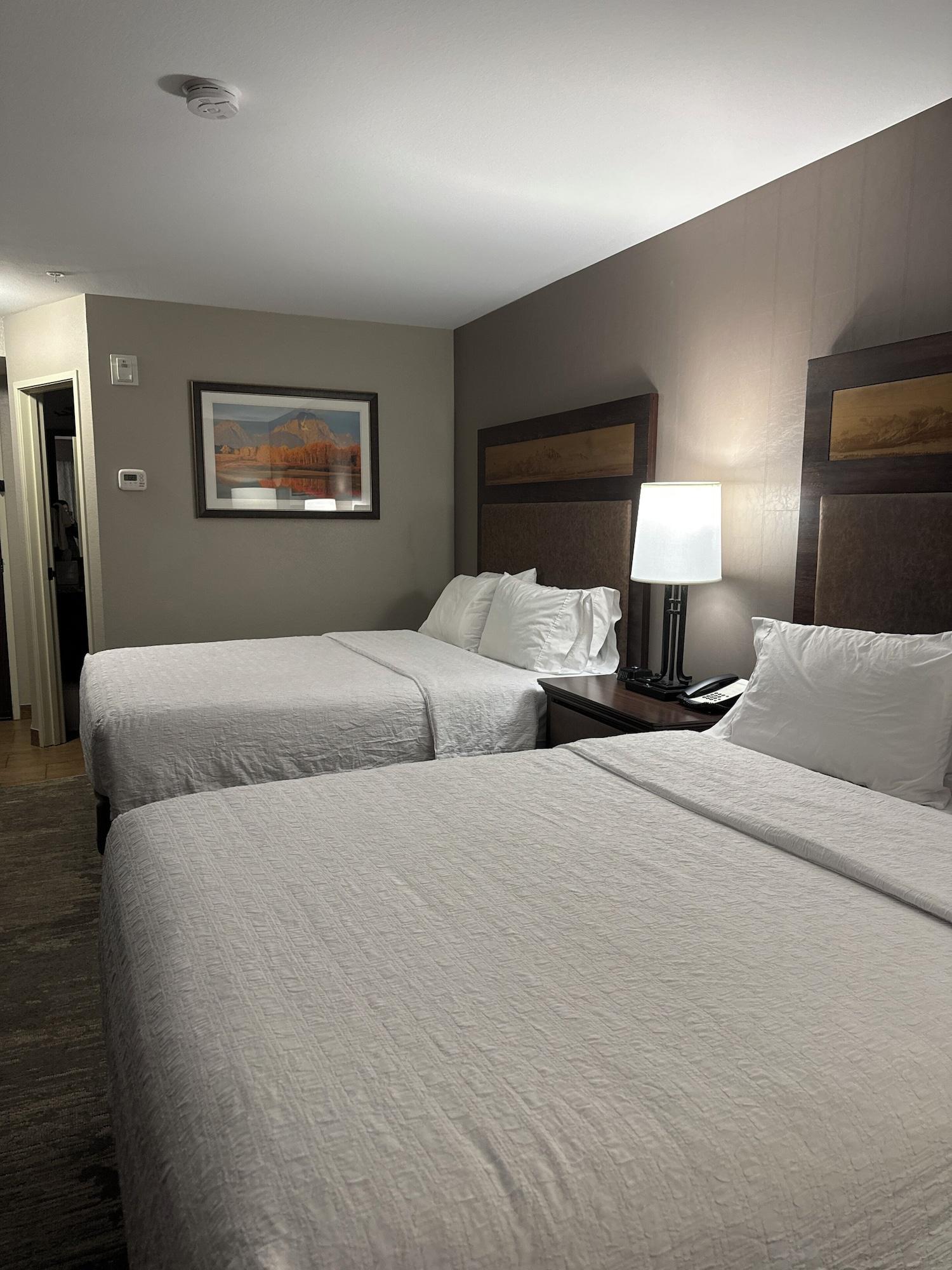 Room, Multiple Beds