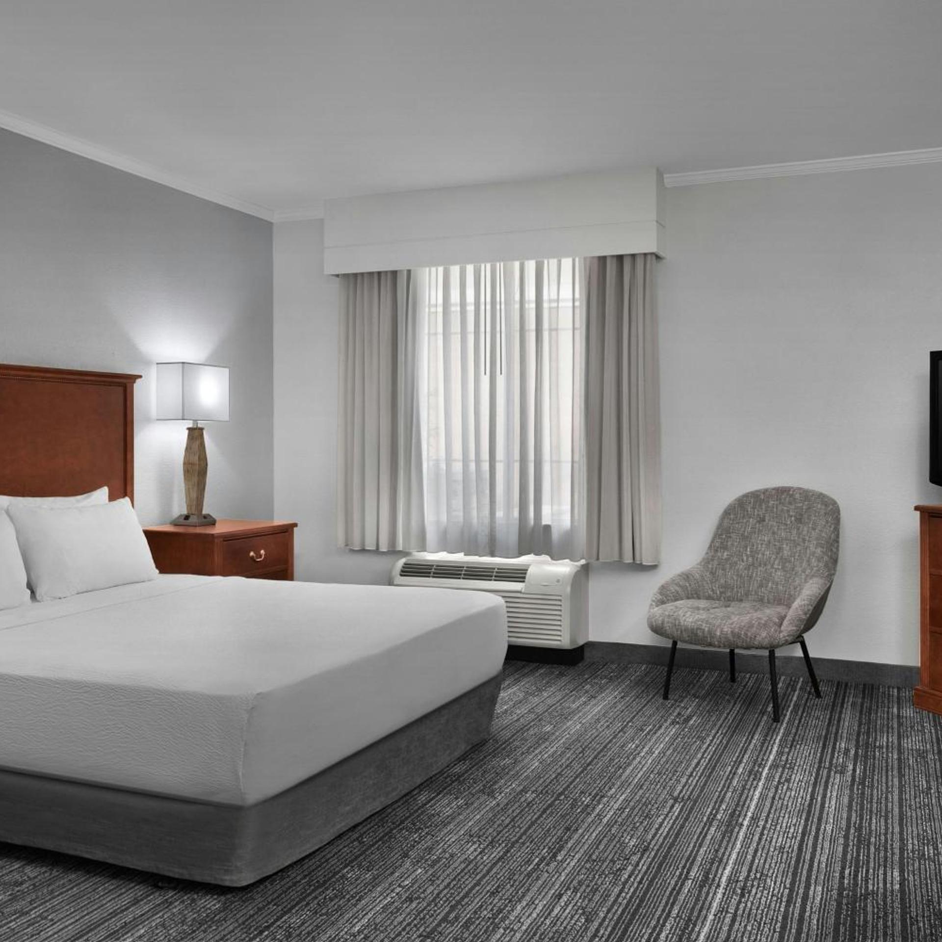 Studio, Suite, King Bed, Sofa, Bathtub, Accessible