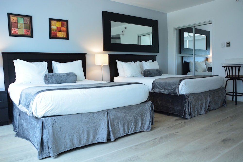 New Point Miami 30/54