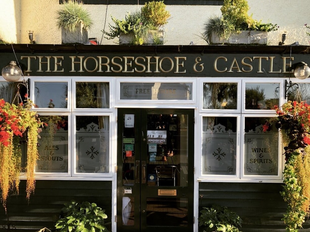 The Horseshoe and Castle 1/50