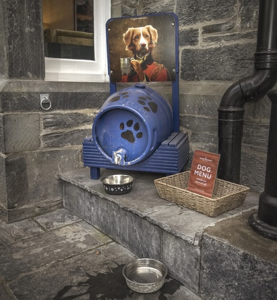 Gwydyr Hotel 25/50
