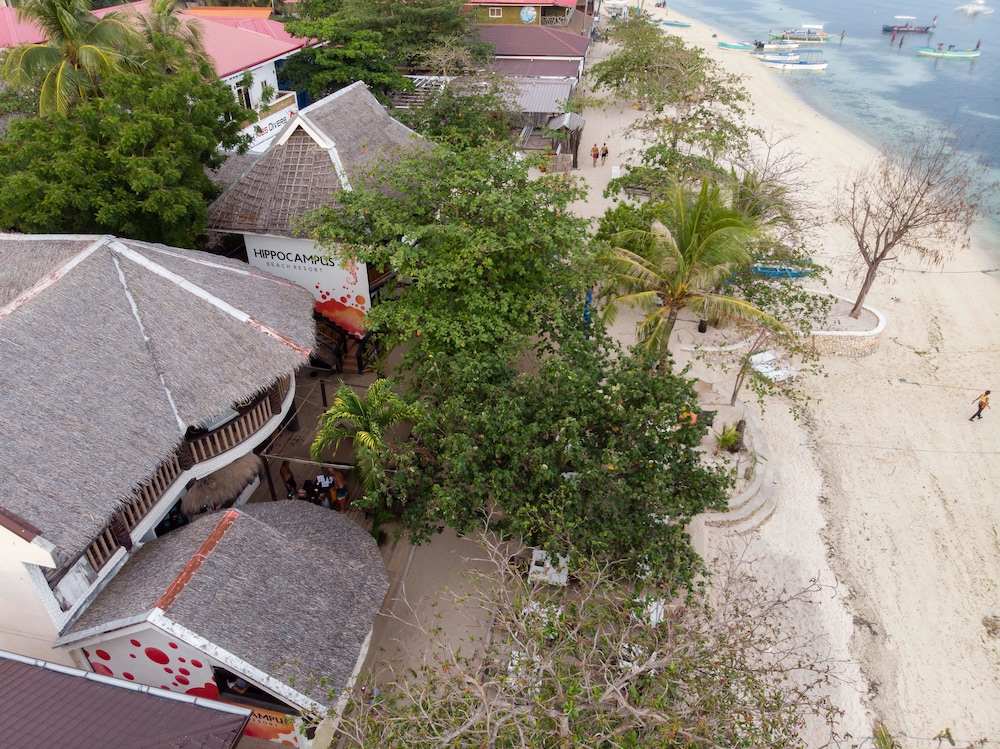 Hippocampus Beach And Dive Resort 36/59
