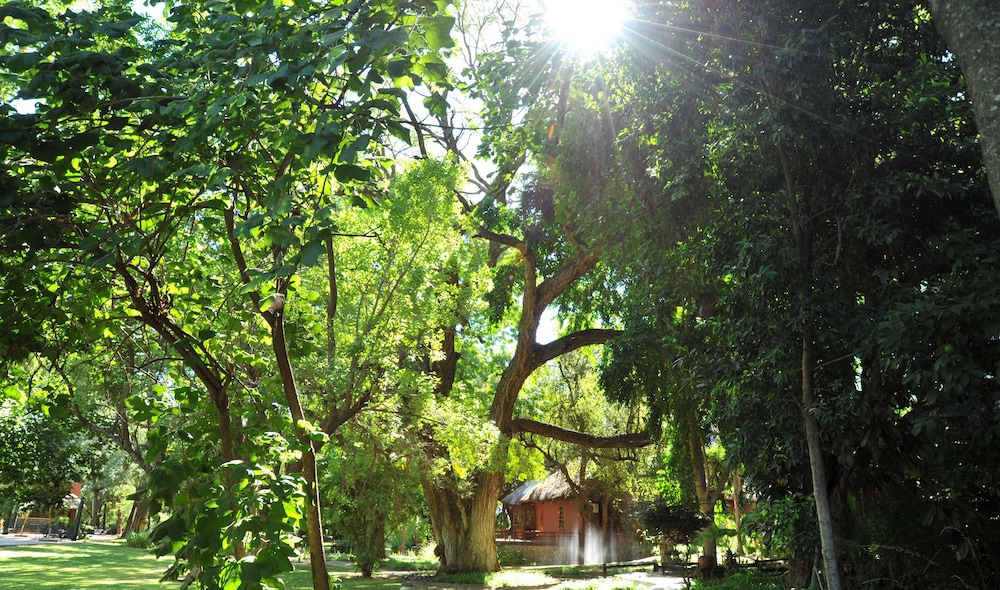 surroundings