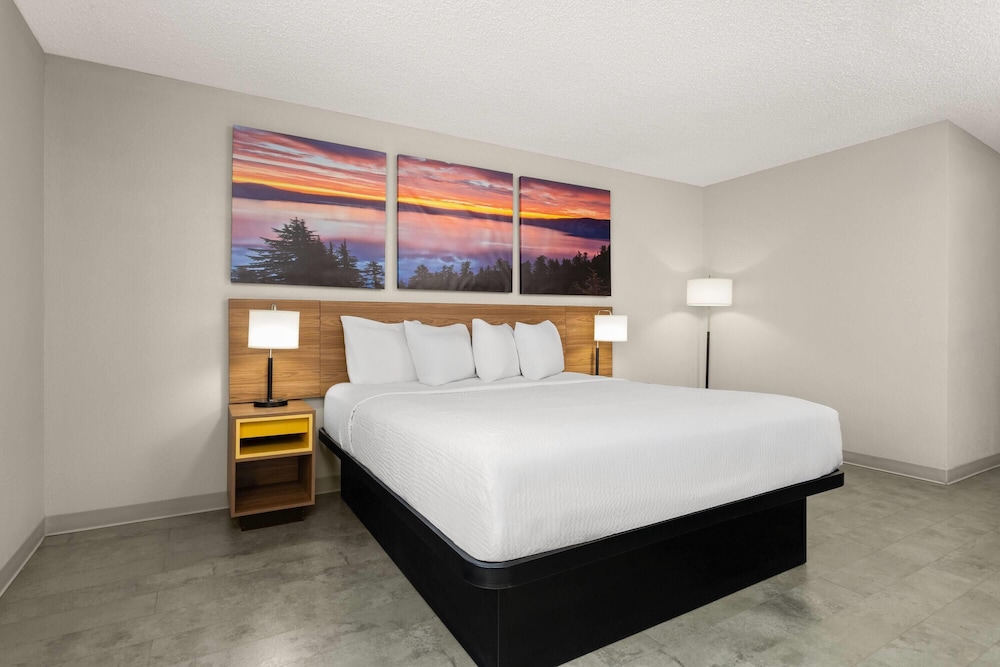 Room, King Bed, Accessible