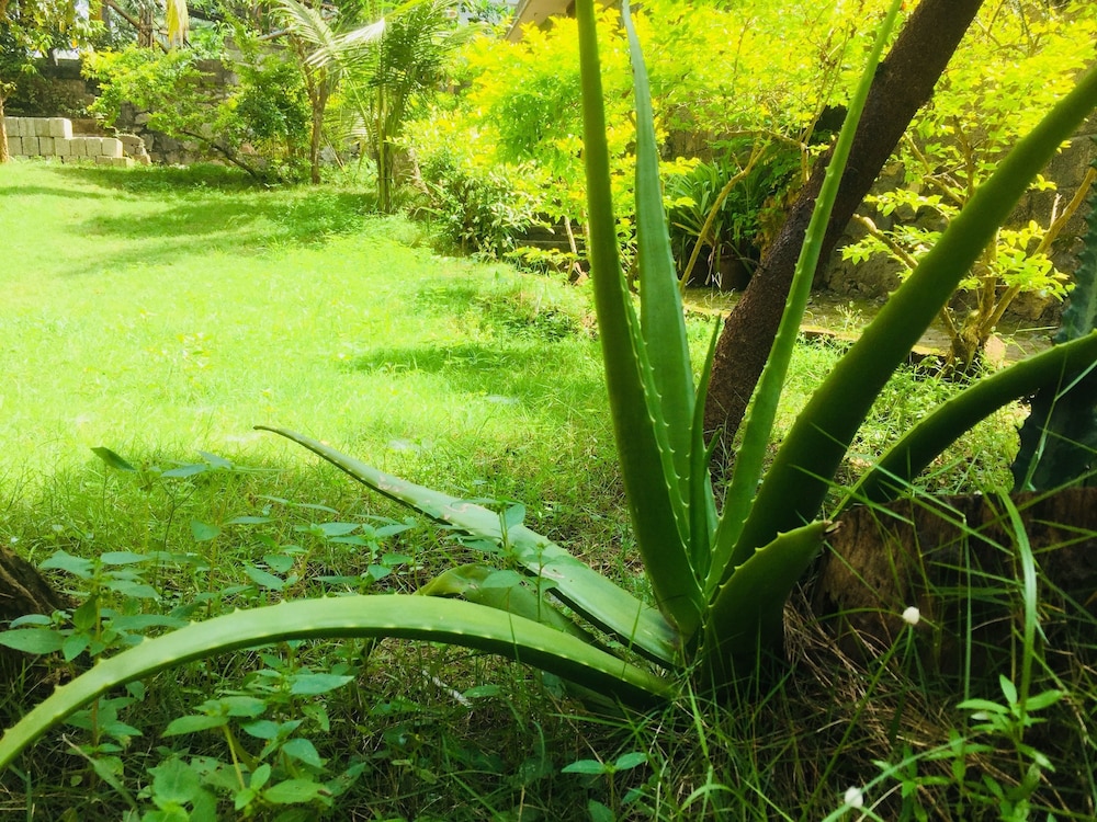 Ganesh House Homestay 45/49
