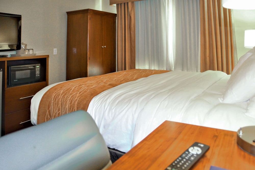 Comfort Inn & Suites Vancouver Downtown City Center 22/48