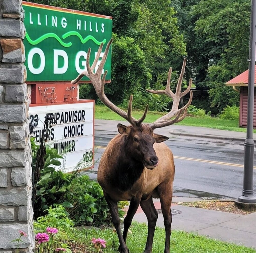 Rolling Hills Lodge 14/19