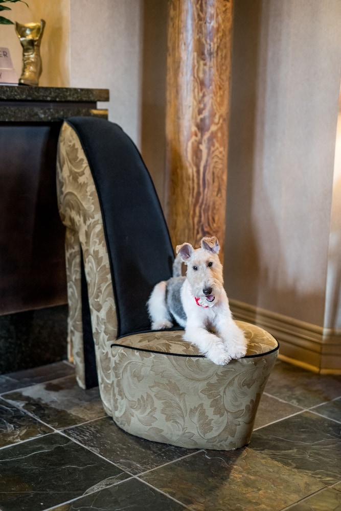Craddock Terry Hotel, Lynchburg, a Tribute Portfolio Hotel 8/24
