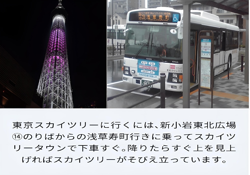 Cypress Inn Tokyo 20/50