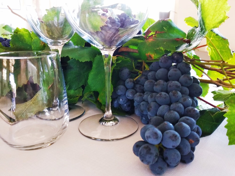 Il Podere Di Marfisa 13/50