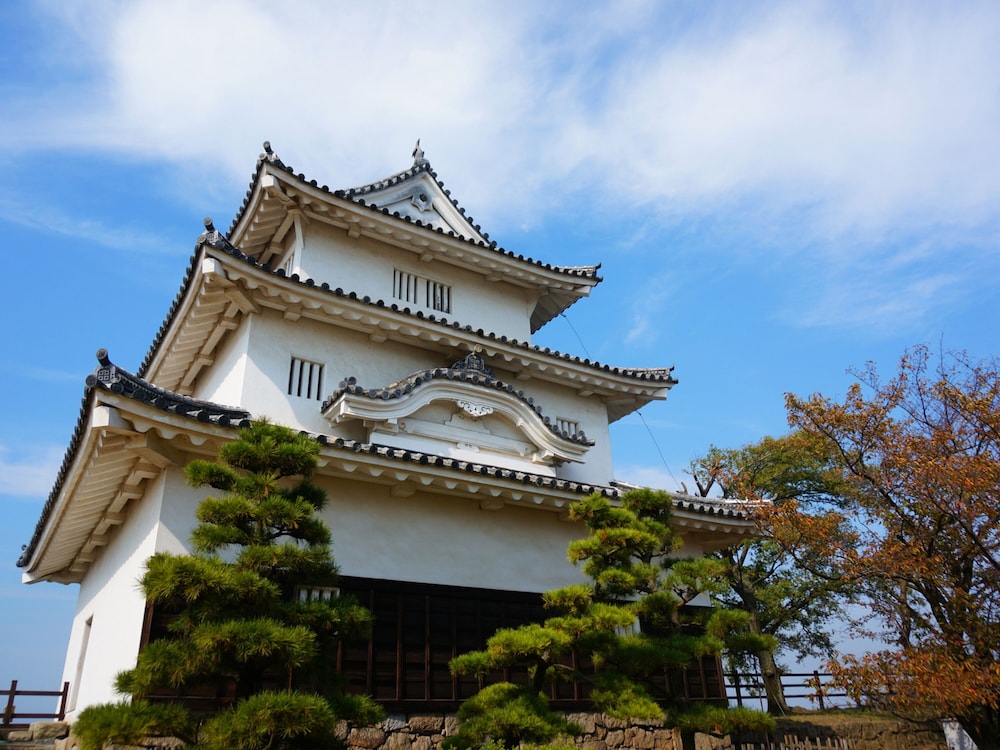 Toyoko Inn Marugame Ekimae 2/33